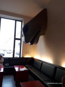 20190802_174759.jpg