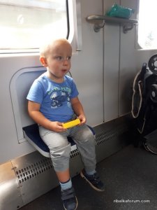 20190804_142407.jpg