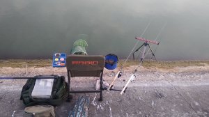IMG_20190808_064016.jpg