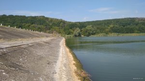 IMG_20190808_093916.jpg