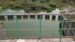 IMG_20190808_123324.jpg