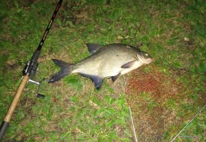 IMG_20190808_230509.jpg