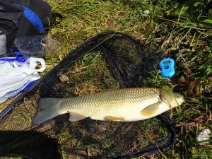 IMG_20190809_110757.jpg