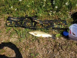 IMG_20190809_110823.jpg