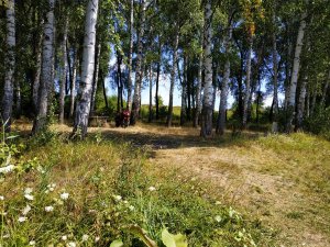 IMG_20190809_113726.jpg