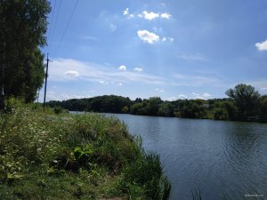 IMG_20190809_113730.jpg