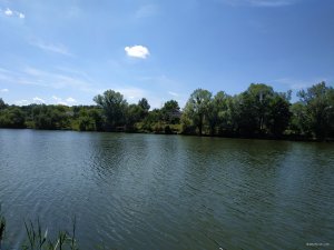 IMG_20190809_113732.jpg