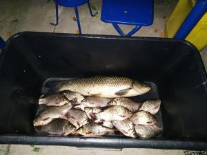 IMG_20190809_204535.jpg