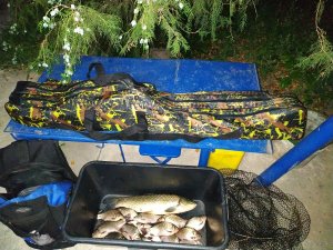 IMG_20190809_204624.jpg
