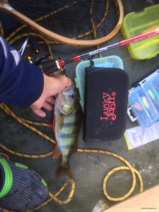 3285F150-87BA-447D-9A8B-1E41AEF69548.jpeg
