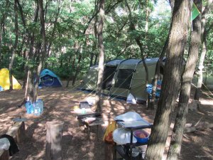 IMG_1969.JPG