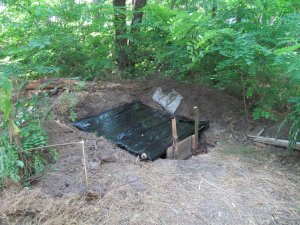 IMG_1972.JPG