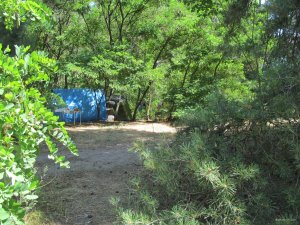 IMG_1998.JPG