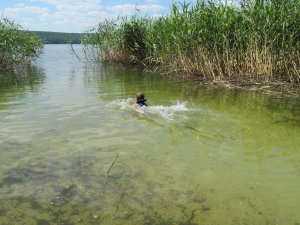 IMG_2007.JPG