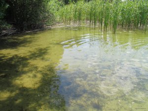 IMG_2005.JPG