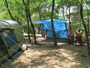 IMG_2016.JPG
