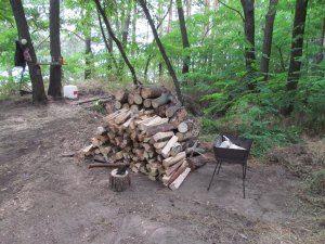 IMG_2032.JPG
