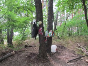 IMG_2033.JPG