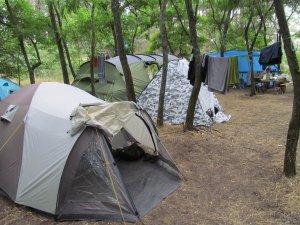 IMG_2042.JPG