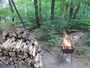 IMG_2052.JPG