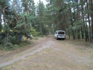 IMG_2159.JPG