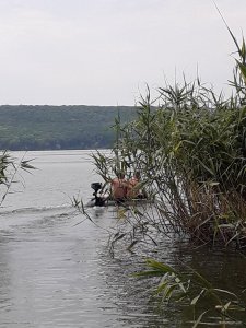 20190624_134913.jpg