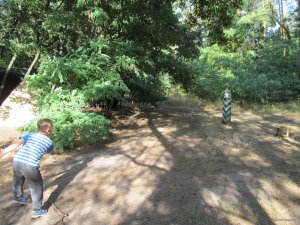 IMG_2307.JPG