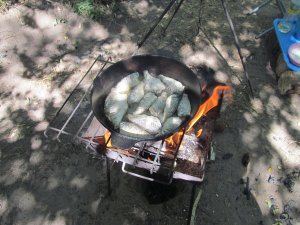 IMG_2281.JPG