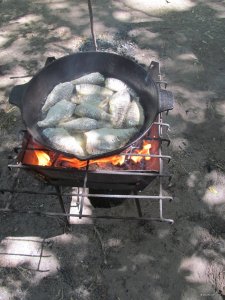 IMG_2282.JPG