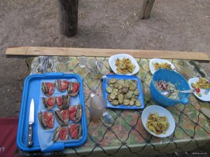 IMG_2310.JPG