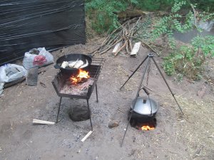 IMG_2254.JPG