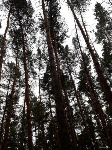 20190707_172850.jpg