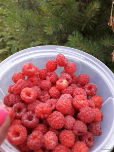 20190707_180936.jpg