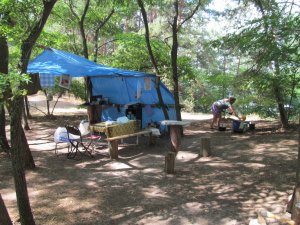 IMG_2335.JPG