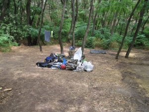IMG_2341.JPG