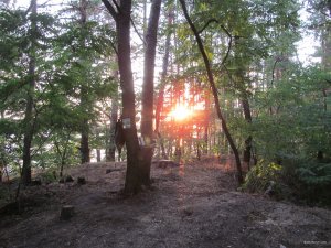 IMG_2317.JPG