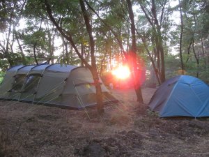 IMG_2319.JPG