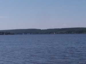 20190811_111301.jpg