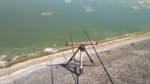 IMG_20190812_122059.jpg