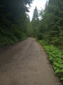 IMG_20190722_114536.jpg