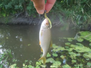 IMG_0729.JPG