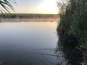 3B0727E2-67AA-41A6-946C-9A25DC96747B.jpeg