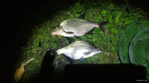 IMG_20190814_111647.jpg