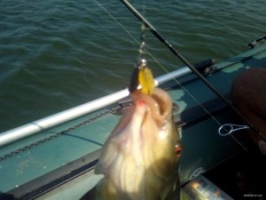 IMG_20190808_101957.jpg
