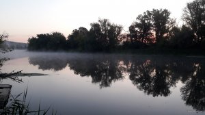 20190813_053409.jpg
