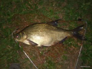 IMG_20190816_221142.jpg