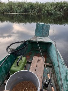 20190815_191418.jpg