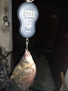 20190817_002738.jpg