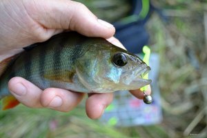 DSC_0095.JPG