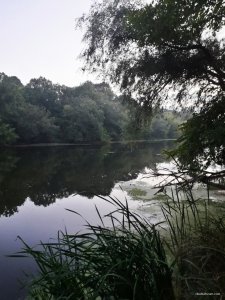 IMG_20190819_110609.jpg
